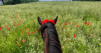 Le Petit Trot Cormillon Le Petit Trot Cormillon