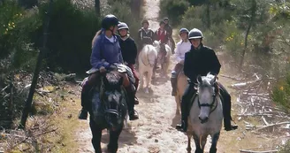 Poney Découverte Poney Découverte