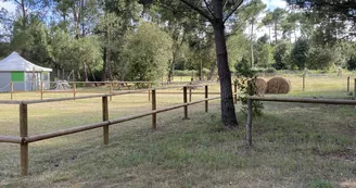 Espace Équestre Marais de Bréjat Espace Équestre Marais de Bréjat