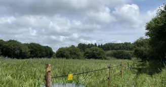 Espace Équestre Marais de Bréjat Espace Équestre Marais de Bréjat