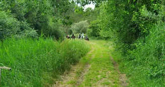 Espace Équestre Marais de Bréjat Espace Équestre Marais de Bréjat