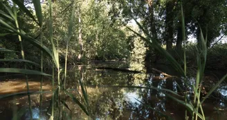 Espace Équestre Marais de Bréjat Espace Équestre Marais de Bréjat