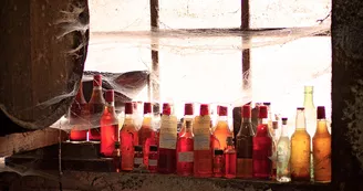 Les Frères Moine Les Frères Moine