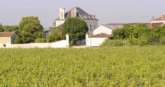 Cognac laval aubinaud Cognac laval aubinaud