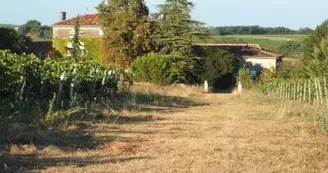Pascal Gonthier - Artisan vigneron Pascal Gonthier - Artisan vigneron