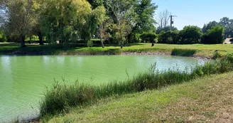 Plan d'eau de Point Folle Plan d'eau de Point Folle