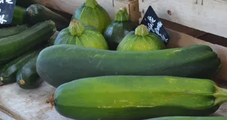 Marché
