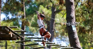 Parc Aventure La Palmyre Parc Aventure La Palmyre