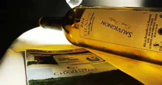 Vignoble Roland Vilneau Vignoble Roland Vilneau