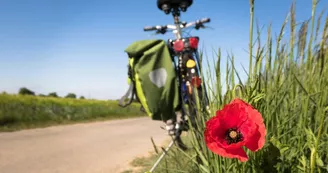 VDS Mobilité - Location de Vélos VDS Mobilité - Location de Vélos