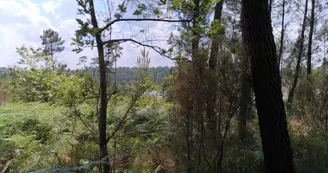 Les carrières de Guizengeard Les carrières de Guizengeard