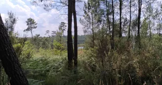 Les carrières de Guizengeard Les carrières de Guizengeard