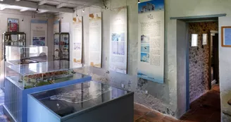 Musée d'Histoire Locale et de la Pêche dans l'Estuaire Musée d'Histoire Locale et de la Pêche dans l'Estuaire
