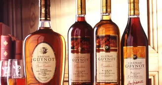 Domaine de Château Guynot Domaine de Château Guynot