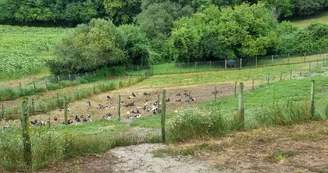 GAEC Les Barbins