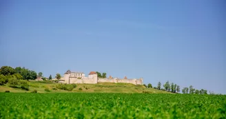 Aire de pique-nique de Villebois-Lavalette Aire de pique-nique de Villebois-Lavalette