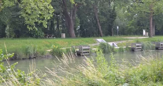Parcours pêche de la carpe de nuit - Canal de dérivation de la Sèvre Niortaise Parcours pêche de la carpe de nuit - Canal de dérivation de la Sèvre Niortaise