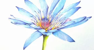 Ateliers Les Toiles Bleues Ateliers Les Toiles Bleues