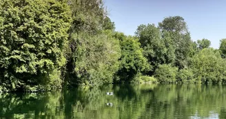 Balade fluviale à bord de La Demoiselle Balade fluviale à bord de La Demoiselle