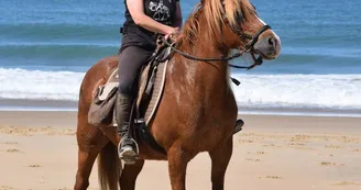 LES DADOUS DE LA BRANDE - TOURISME EQUESTRE LES DADOUS DE LA BRANDE - TOURISME EQUESTRE