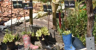 Jardin de Vie Jardin de Vie