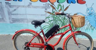 Les Vélos de la Seudre Les Vélos de la Seudre