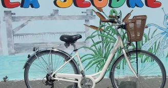 Les Vélos de la Seudre Les Vélos de la Seudre