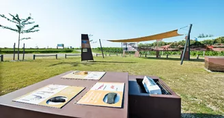 Site paléontologique d'Angeac-Charente