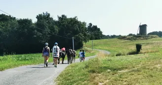 Randonnée avec les ânes