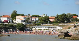 Croisières La Sirène - Cordouan