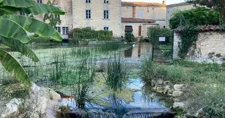 Geocaching : Terra Aventura - Petit gourmet cherche grand cru Geocaching : Terra Aventura - Petit gourmet cherche grand cru