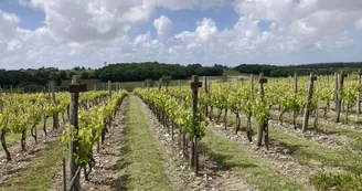 Domaine Côtes de l'Estuaire Domaine Côtes de l'Estuaire