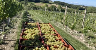 Domaine Côtes de l'Estuaire Domaine Côtes de l'Estuaire