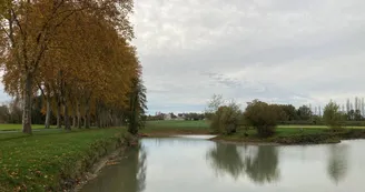 Ouvrard Marie-Paule - Les crécerelles