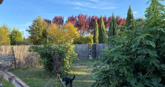 Il y avait un jardin