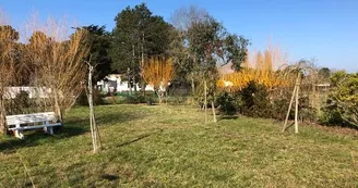 La Cagouille 2