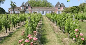 Croisières Loudenne II - Visite du château et dégustation Croisières Loudenne II - Visite du château et dégustation