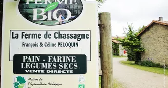 Ferme de Chassagne Ferme de Chassagne