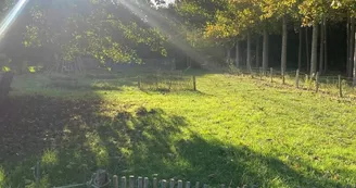 Camping au jardin - Nomade Camping au jardin - Nomade