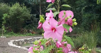 La Bulle d'Étang La Bulle d'Étang