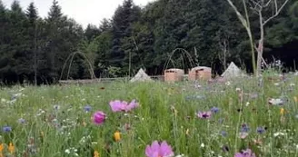 Eco-Glamping "Au Pré Fleuri" Eco-Glamping "Au Pré Fleuri"