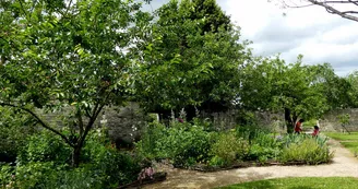 Jardin médiéval Jardin médiéval