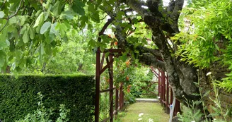 Jardin médiéval Jardin médiéval