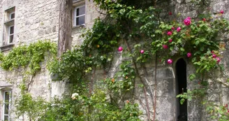 Jardin médiéval Jardin médiéval
