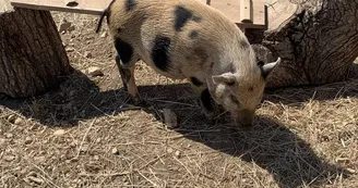 Ferme pédagogique - La Ferme du Grand Chemin Ferme pédagogique - La Ferme du Grand Chemin