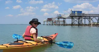 Kayak découverte 17 : Escapade découverte de 3h en kayak de mer avec dégustation dans les parcs ostréicoles Kayak découverte 17 : Escapade découverte de 3h en kayak de mer avec dégustation dans les parcs ostréicoles