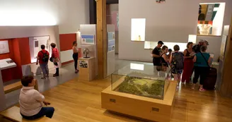 Visite guidée du site archéologique et du Musée de Bouchauds