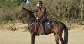 Educ'Horse