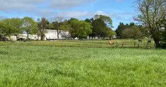 Educ'Horse