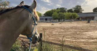 Educ'Horse